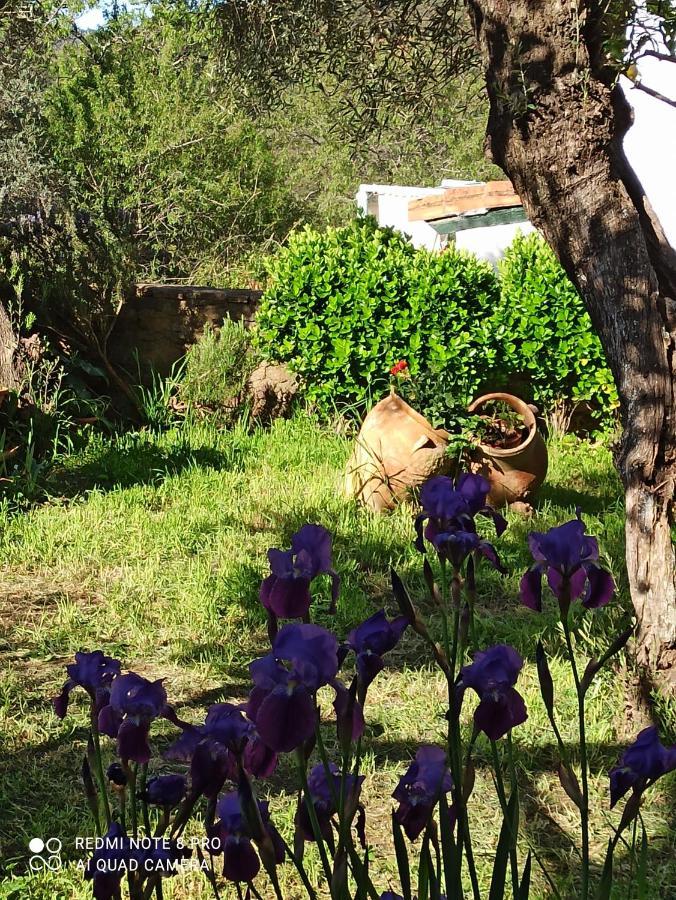 Alájar El Luceroゲストハウス エクステリア 写真